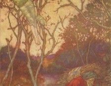 39879. ������, ������