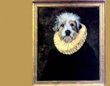 dog portraits csg021 don vasquez y vasquez. , 