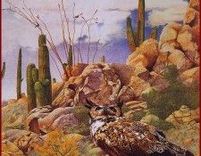 lrsRomeroJoAnne-ViewPoint. ,  