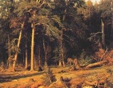shishkin a pine forest (viatka province) 1872. ������, ���� ��������