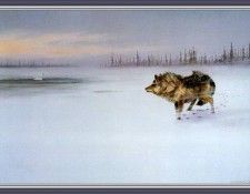 cr OwenGromme-Wolf&Swan. Gromme, ���� J