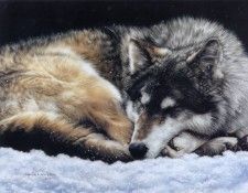 kb Harrison And the Wolf Dreams. ��������, �����