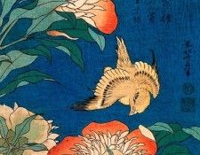 pic09529. �������