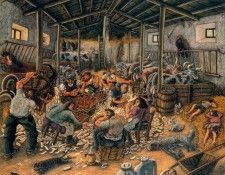 33936. Covili, �����