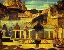 bellini16. , 