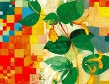 42952. Arroyo, �������