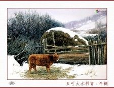 CSA aping WangKeDa 058. ��� �� Da