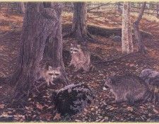 HoseltonBeth-The Hollow-WeaRSCC. Hoselton, ���