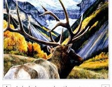 A Mountain Alphabet 0001 A AndrewKiss sqs. �������, ������