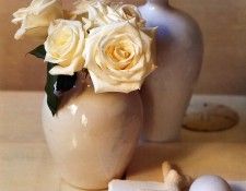 Maria Robledo - Akito Rose, De. , 