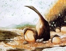 Jeannine Bourret - Ces matin remplis de soleil, De. �����, ������