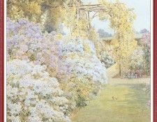 ParsonsBeatrice RobinInAGarden-We (f079). , 