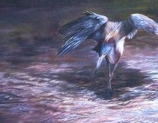 kb Ratnavira Gamini-Shadow Dancer. Ratnavira, 