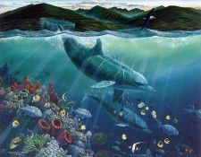 kb RLN Lahaina Seaflight. ,  