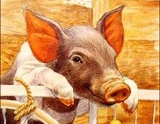 bs-ill- Peter Warner- Piglet. , 