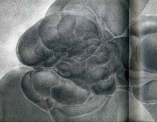 img384. ����, �����