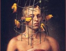 lrsSPEC11-287-KennySteven-TheScaffold. �����, ������