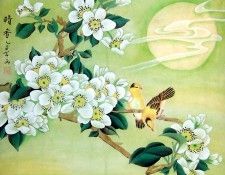 Shen Mei5i1703. ���, ���