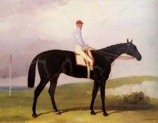 Hall Harry Ellinton A Dark Bay Racehorse With Tom Aldcroft Up. ����, �����