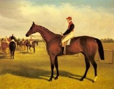 Herring Sr John Frederick Don John The Winner Of The 1838 St Leger With William Scott Up. ,  