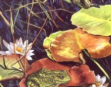 lrs Nice Claudia Lily Pond. , 