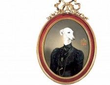 dog portraits csg025 duchess tatiana pavlovna. , 