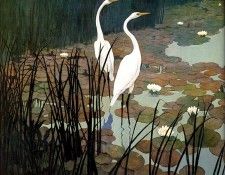 lrs-WyethNC-Egrets Pt I-13. ,  