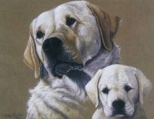 kb Davis Sallie-Belle and Kai. �����, ����� ����