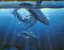 kb Nelson RL Extinction is Forever. Nasmith, ���