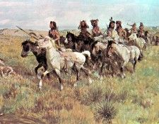 zFox SWD JC 11 Buffalo Ponies. , 
