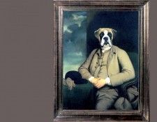 dog portraits csg017 le comte de montecrisco. , 