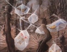 11539. Varo, ��������