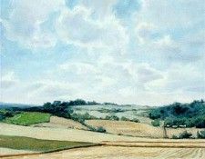 hayfields. ,  C