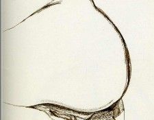 Freud paper 40. , 
