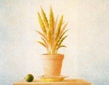 04461. �����, �������