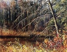 Christiane Plante - Beautes Sauvages, De. �����, ��������