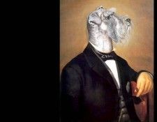 dog portraits csg033 bodo schnoph. , 