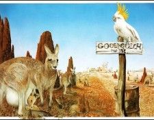 pa GraemeBase Grandma 02. ����, ����