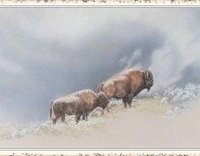 SimpsonRogue StormClouds-We. �������, Rogue