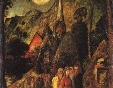 palmer2. ��������