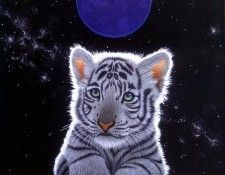 09. Schimmel, ������