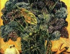 03590. ����, �����