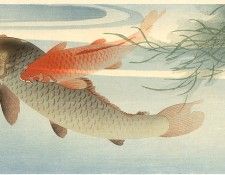 pic02253. �����