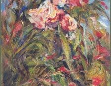 lrsCOL048Royo AzaleasdeunColorIncreible. ����, ����