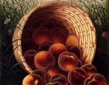 bs-ahp- William Mason Brown- The Overturned Basket. �����, ������ ������