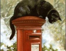 pa ChrissieSnelling Cats 12. ��������, ������