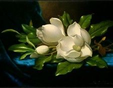 Giant Magnolias on a Blue Velvet Cloth NGA. ,  