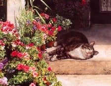 lrs Ross Sueellen Summertime. ����, SueEllen