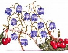 Dennis Kyte - Fritillaria & Cherry, De. ����, ������