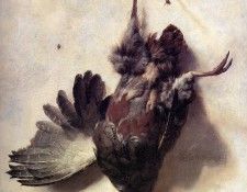 Weenix Jan Baptist Dead partridge Sun. Weenix, -